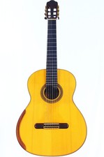 YuLong Guo 2014 Chamber Concert chitarra classica stile Greg Smallman + video