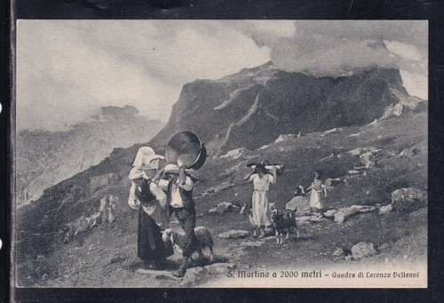 Cartolina martino quadro - cartolina, s.