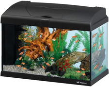 Acquario 40 Litri in Vetro per