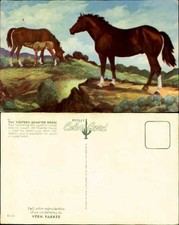 Il cavallo del quartiere