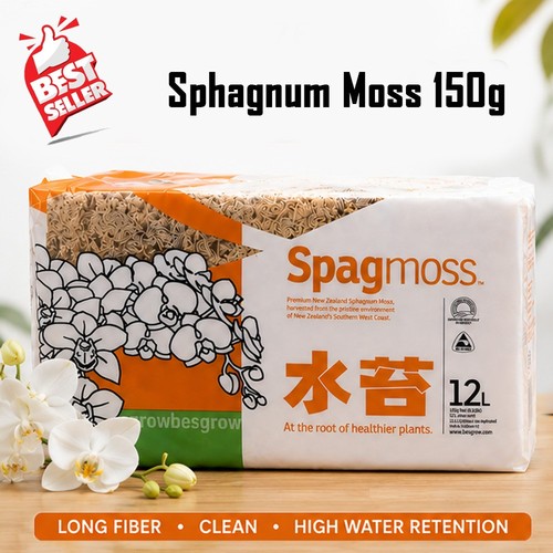 Muschio sfagno besgrow - muschio,