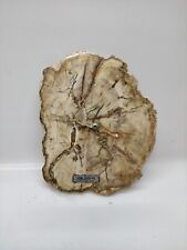 Orologio Su Legno Fossile Silicizzato 220 Milioni Di Anni ... 17 X20 Cm