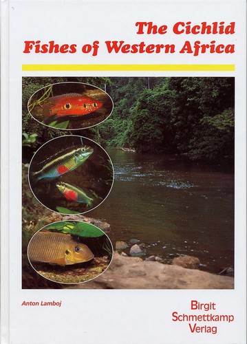 The cichlids western - of,