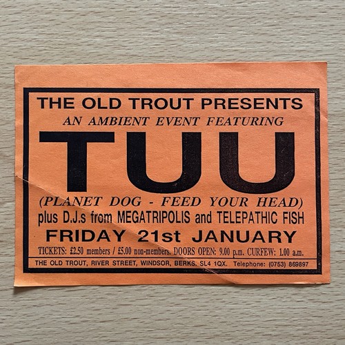 The old trout ambient - the,