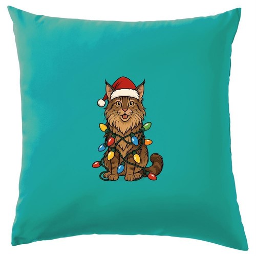 Coon della maine - della, natale