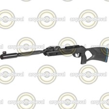 FUCILE AD ARIA GAMO ROADSTER