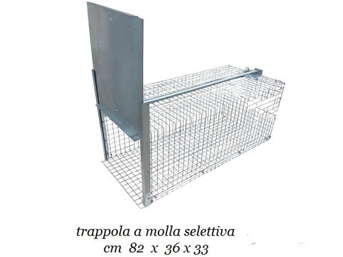 Gabbia trappola sistema - gabbia,