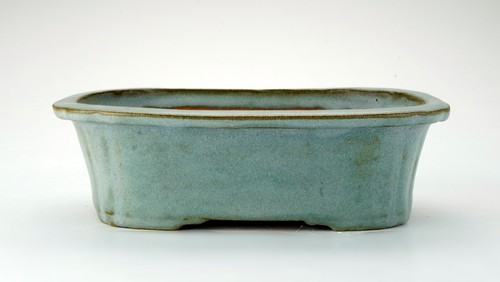 Vaso bonsai artigianale