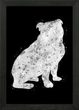 Poster Bulldog inglese