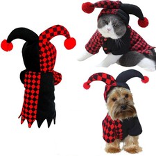 Costume halloween divertente - costume,