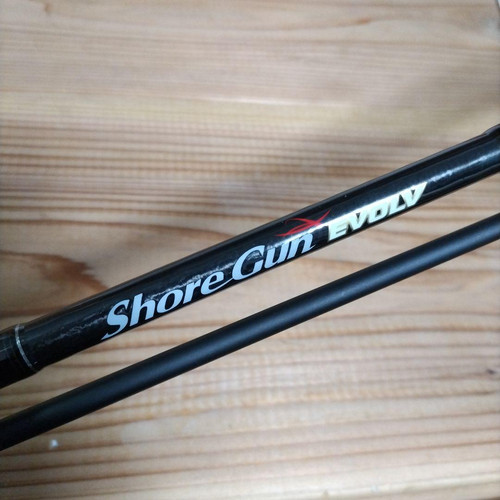 Palms canna spinning 21 - da,