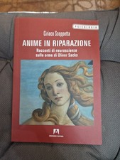 Anime In Riparazione Scoppetta