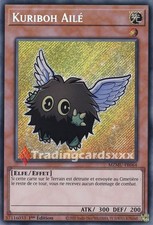 Yu-Gi-Oh! Kuriboh Ailé : SE