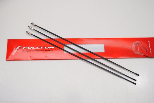 Raggio fulcrum red - fulcrum,