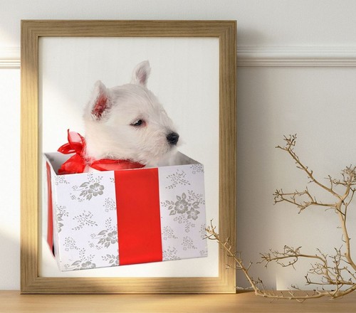 Confezione regalo cucciolo - confezione,