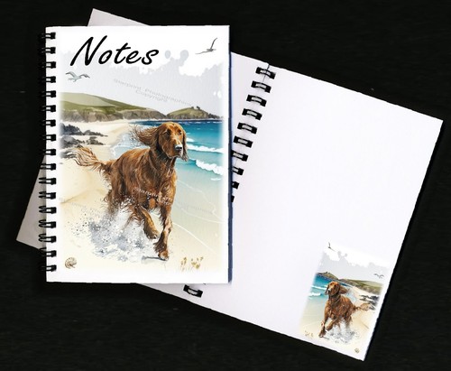 Irish setter dog - setter,