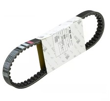 CINGHIA DI TRASMISSIONE