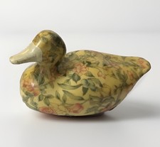 🌈 Papera / Anatra in