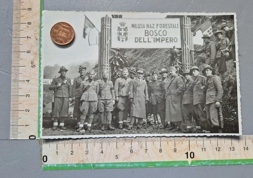 N8 foto militare - foto,