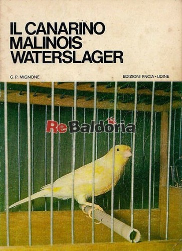 Canarino malinois - il,
