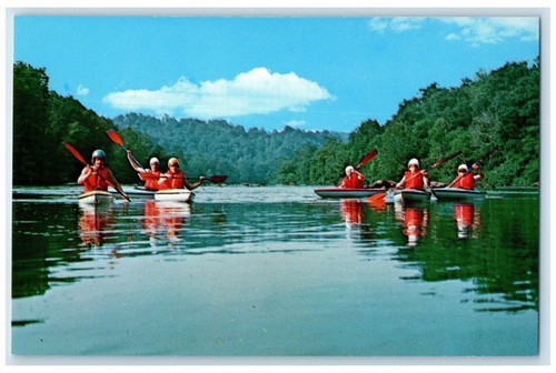 Cartolina c1950 camp - c1950's,