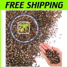 Roccia lavica orticola 45