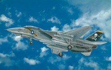 1:48 Italeri F-14a Tomcat Kit