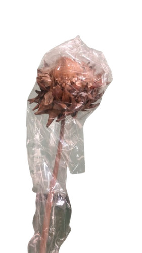 Carciofi grossi d12 con - grossi, d12/18