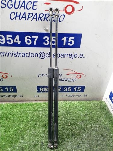 Ammortizzatore portellone