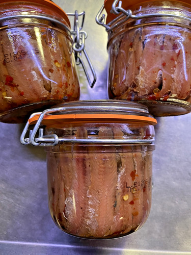 Filetti acciughe vaso - di,