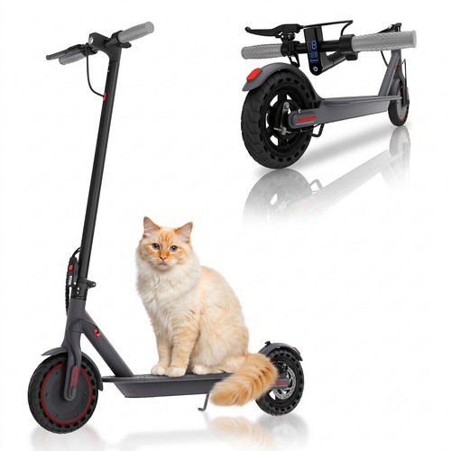 Electric scooter for adults - electric,