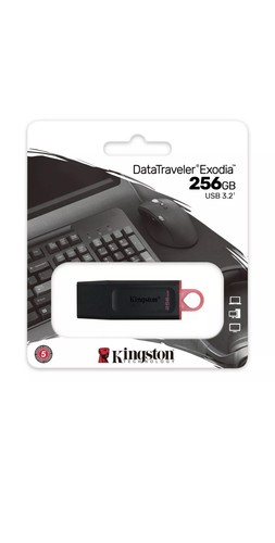 Clé usb kingston - 3.2, go
