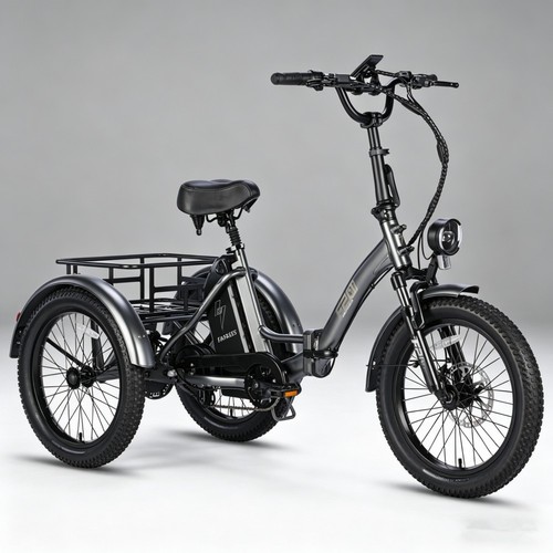 Bicicletta elettrica triciclo - elettrica,