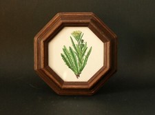 QUADRETTO / CORNICE IN LEGNO /