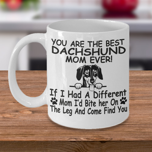 Dachshund dog wiener - dachshund, dog,wiener