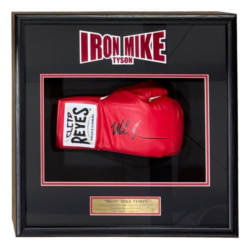 Guantone boxe firmato - da,