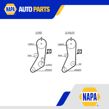 Cinghia Distribuzione Adatto a