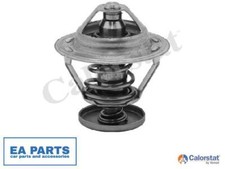 Termostato, liquido di