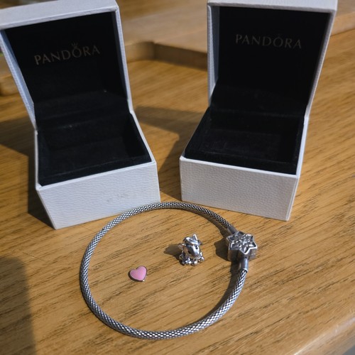 Bracciale pandora moments - pandora,
