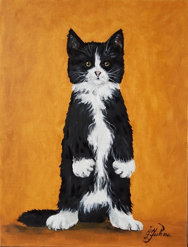 Quadro gatto bianco nero - quadro,