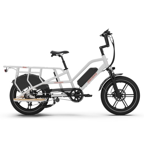 Bicicletta elettrica