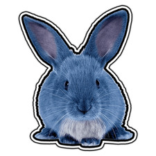Adesivo Blue Bunny Logo #2