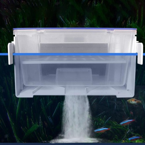 Scatola filtro acquario - acquario,