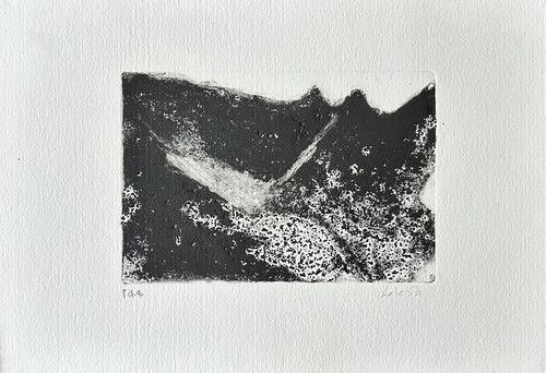 Stampa calcografica - ,