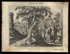 Zaccheo Gerico Vangelo Luca