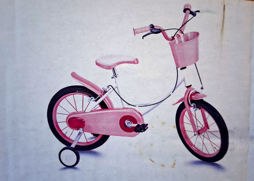 Bici bicicletta bambina - bambina, lool