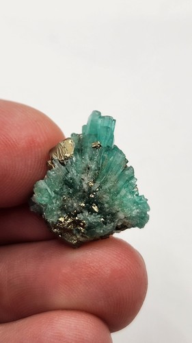 Especimen esmeralda - especimen,