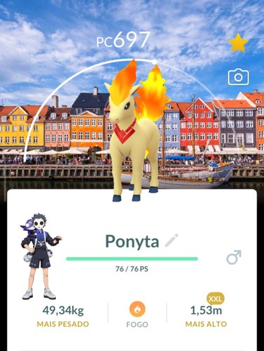 Candela ponyta xxl non - candela,