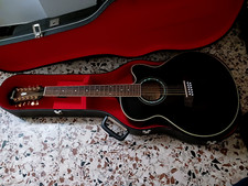 Chitarra 12 corde elettrificata marca Ibanez, completa di custodia rigida