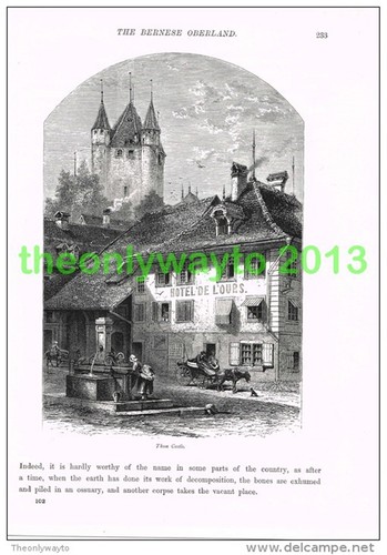 Castello thun svizzera - castello,